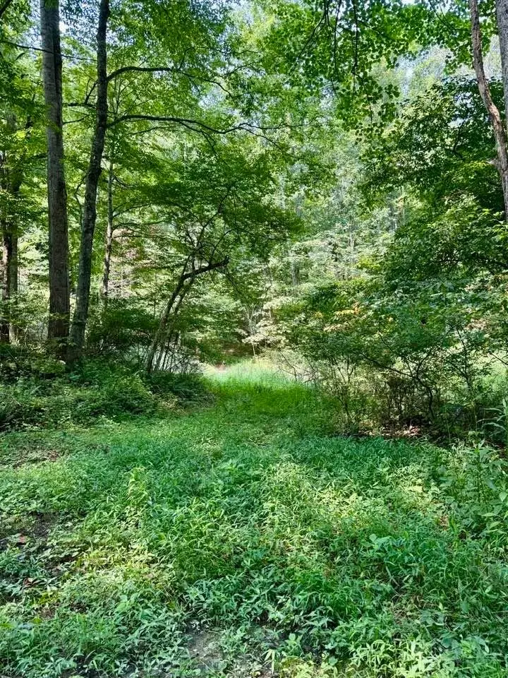TBD Grassy Creek Road, Grassy Creek, NC 28631 - #2