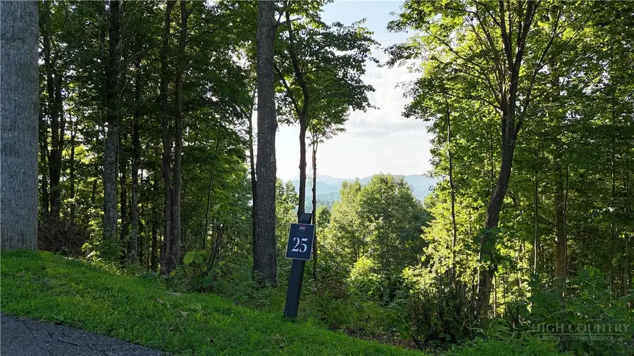 Lot 25 Deer Trail Lane, Elk Park, NC 28622 - #2