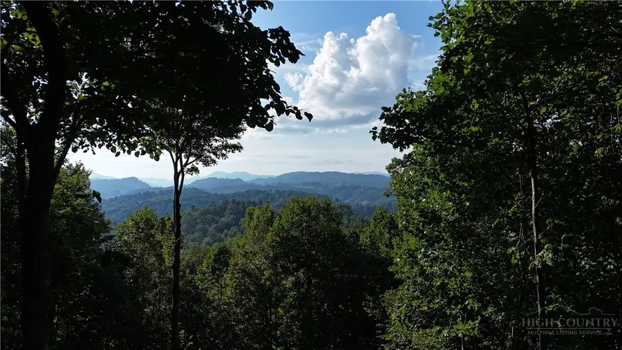Lot 25 Deer Trail Lane, Elk Park, NC 28622 - #3