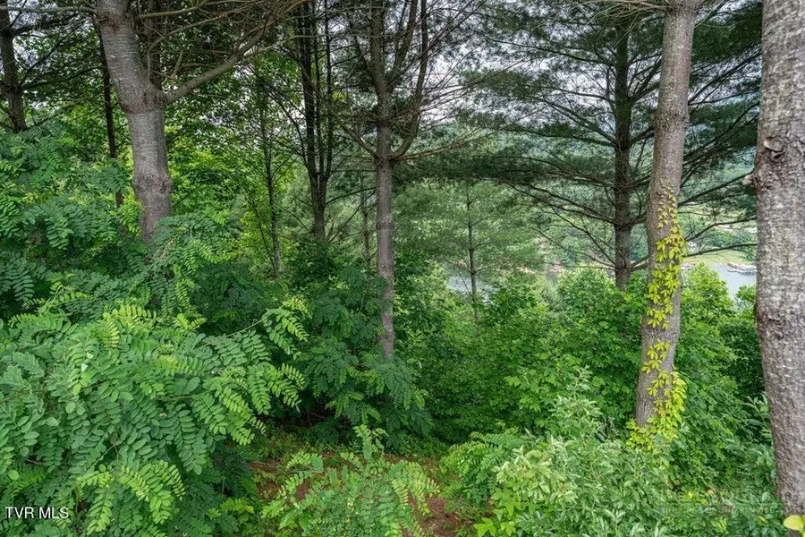 Lot 68 Cowan Town Road, Butler, TN 37640 - #2