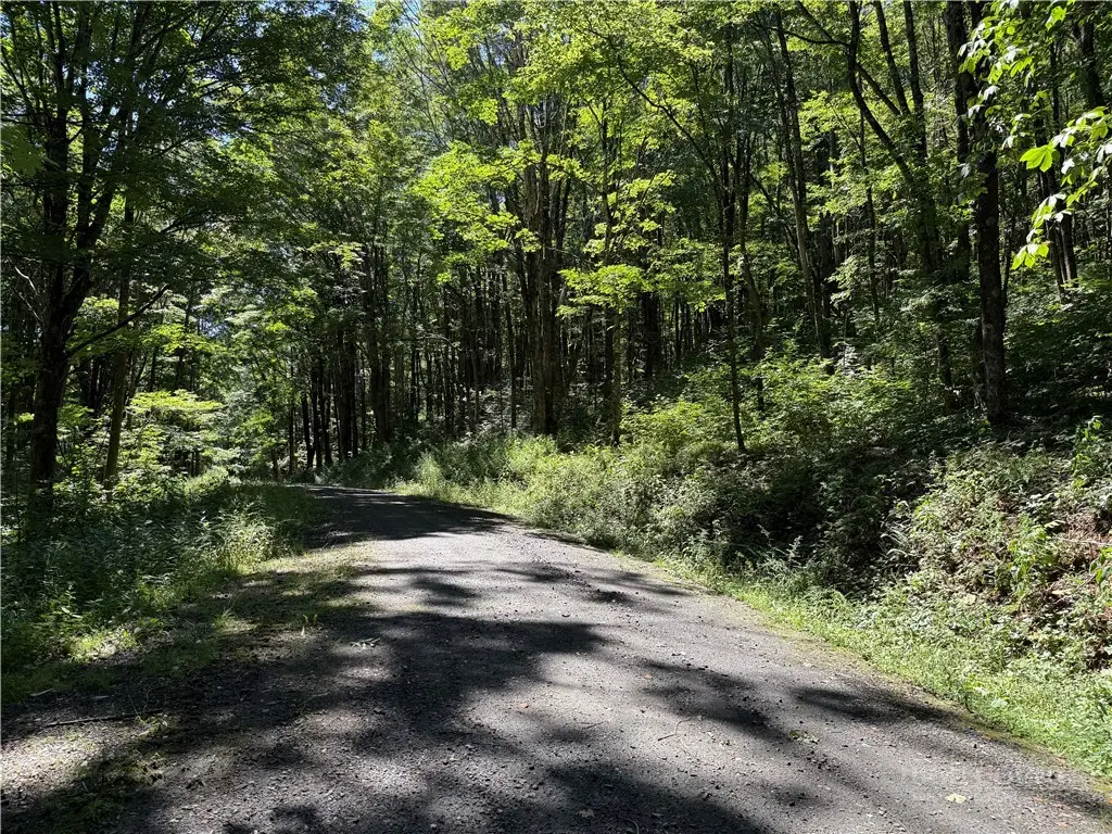 7 Wolfsbane Lane, Todd, NC 28684 - #1