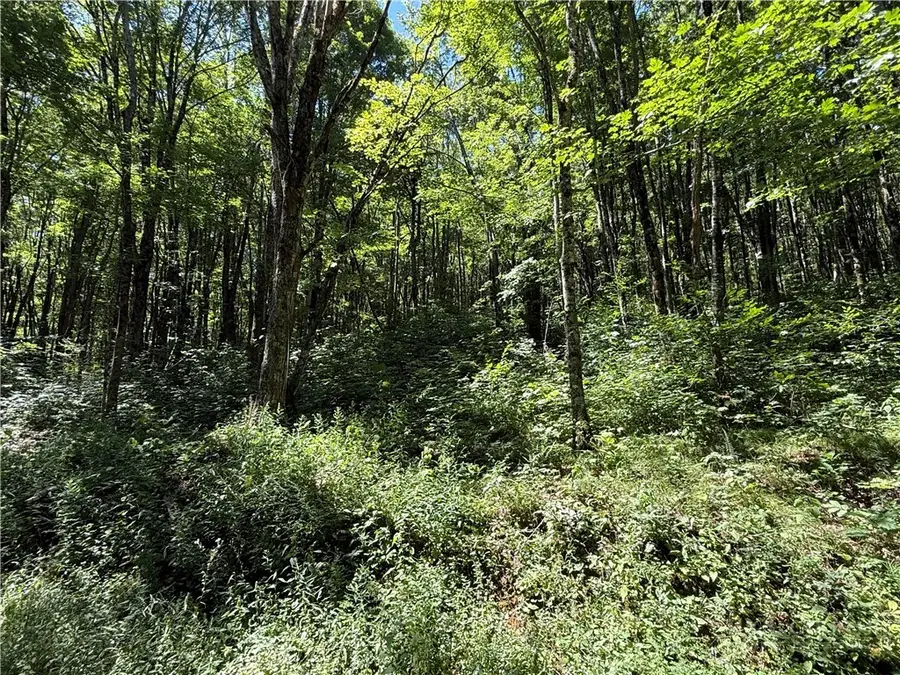 7 Wolfsbane Lane, Todd, NC 28684 - #3