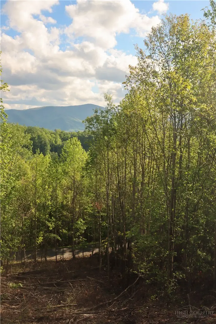 Lot 25 TBD Lake View Drive, Elk Park, NC 28622 - #1