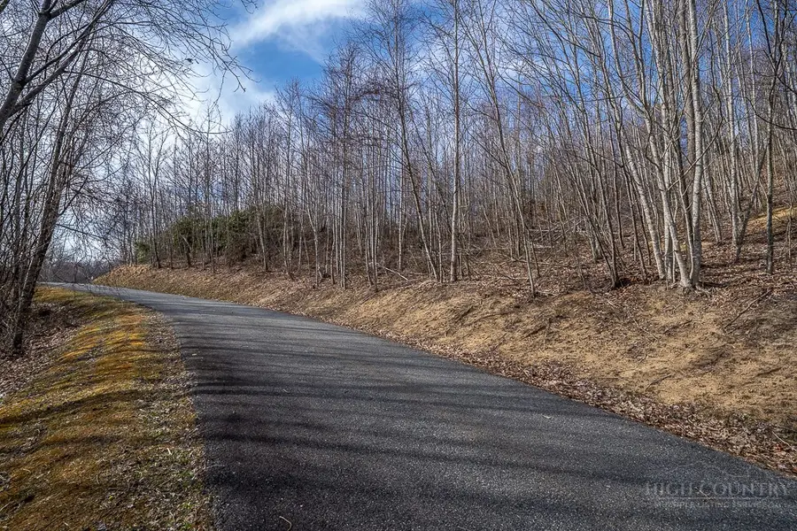 Lot 25 TBD Lake View Drive, Elk Park, NC 28622 - #2