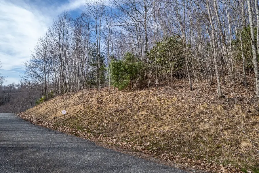 Lot 25 TBD Lake View Drive, Elk Park, NC 28622 - #3
