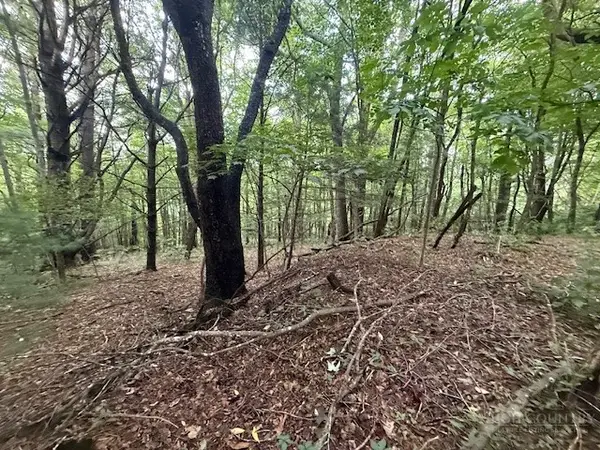 Lot 35/36 Walter Godbey Road, West Jefferson, NC 28694