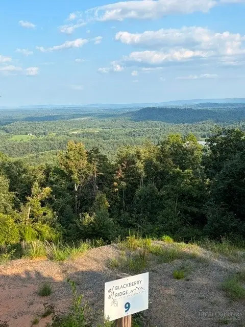 Lot # 9 Widow Mountain Drive, McGrady, NC 28649 - #1