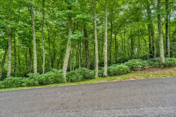 Lot 408 Tbd Firethorn Trail, Blowing Rock, NC 28605