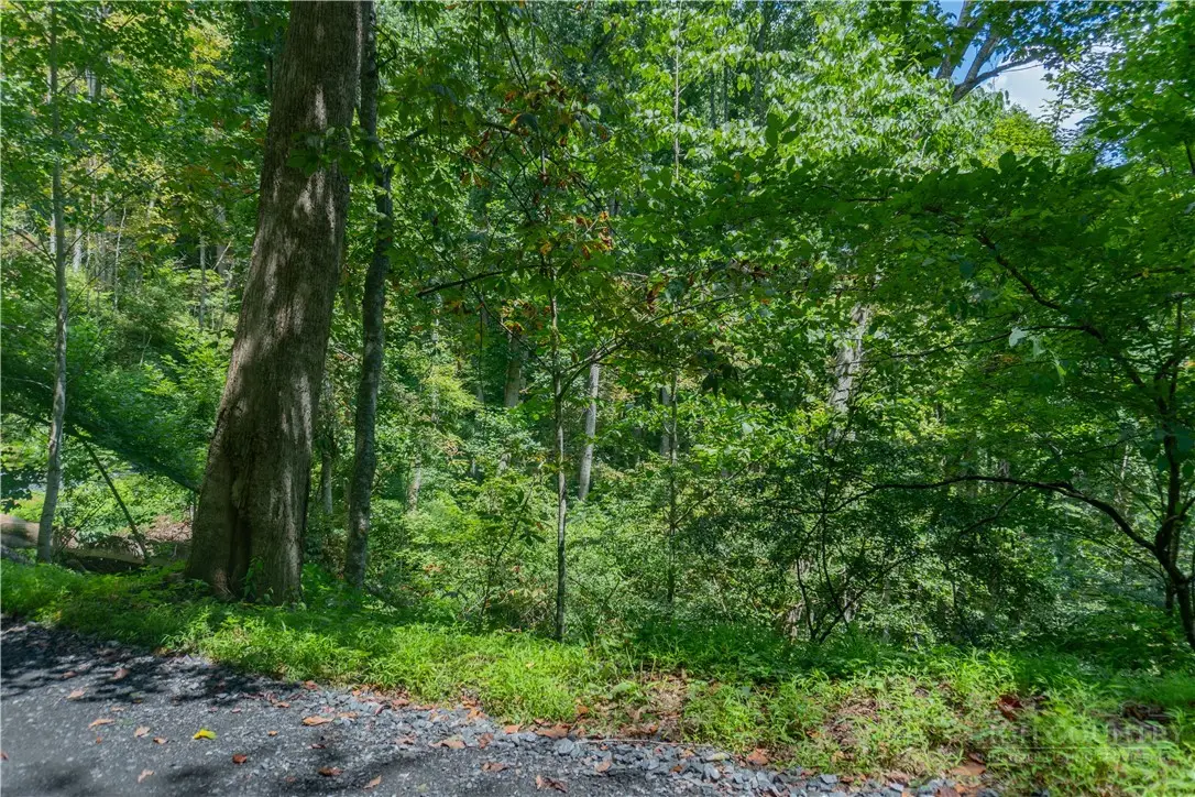 Lot 4 Stonegate Lane, Creston, NC 28615 - #1