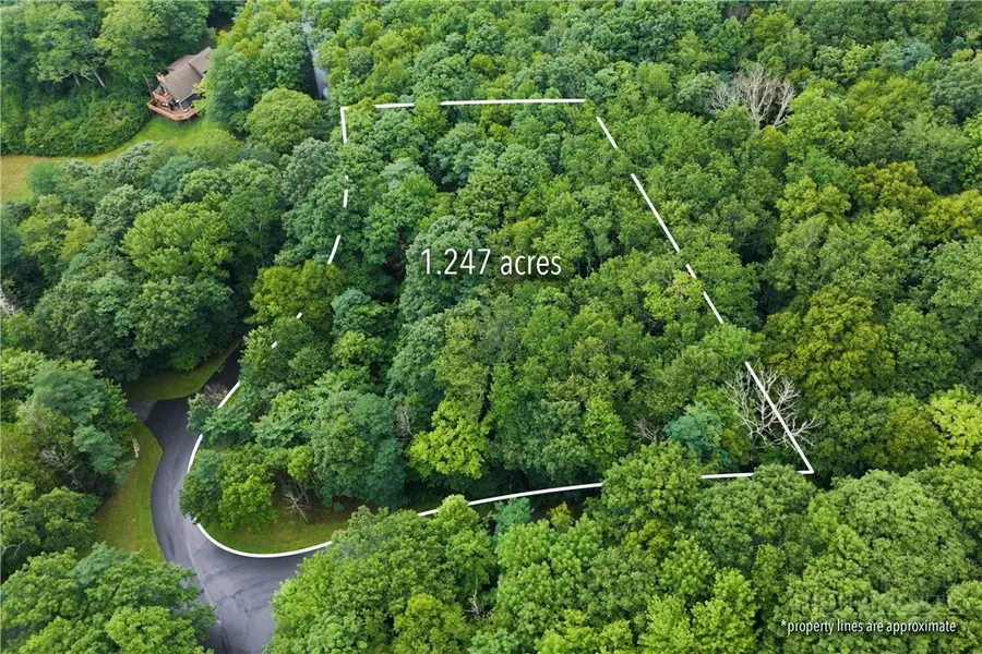 TBD Hemlock Ridge Road, Blowing Rock, NC 28605 - #2