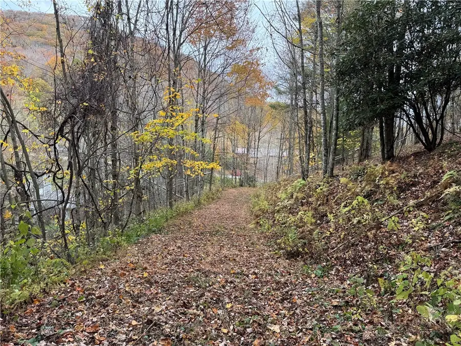 TBD Rominger Road, Banner Elk, NC 28604 - #2