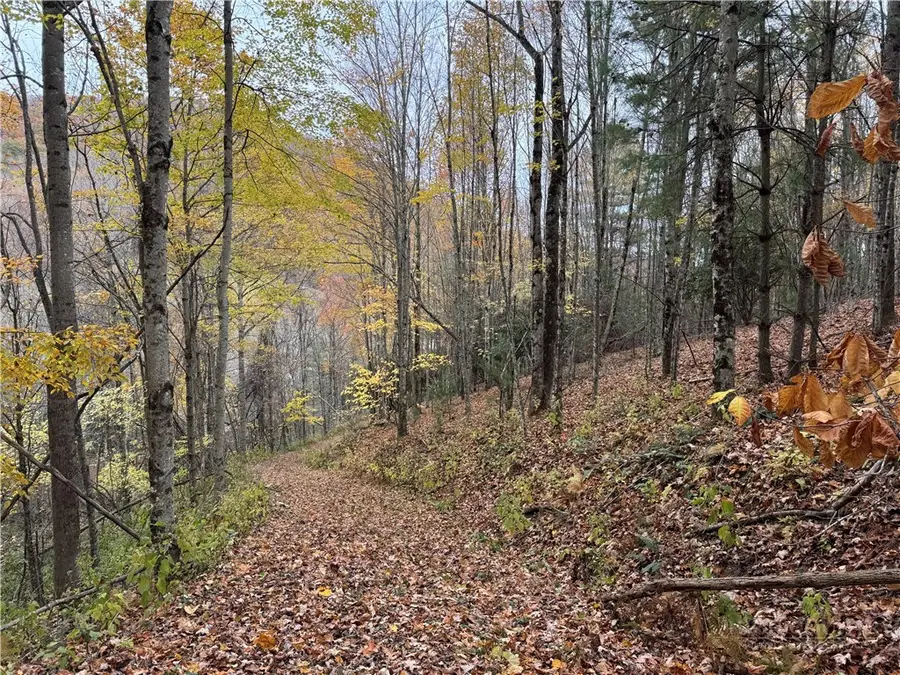 TBD Rominger Road, Banner Elk, NC 28604 - #3