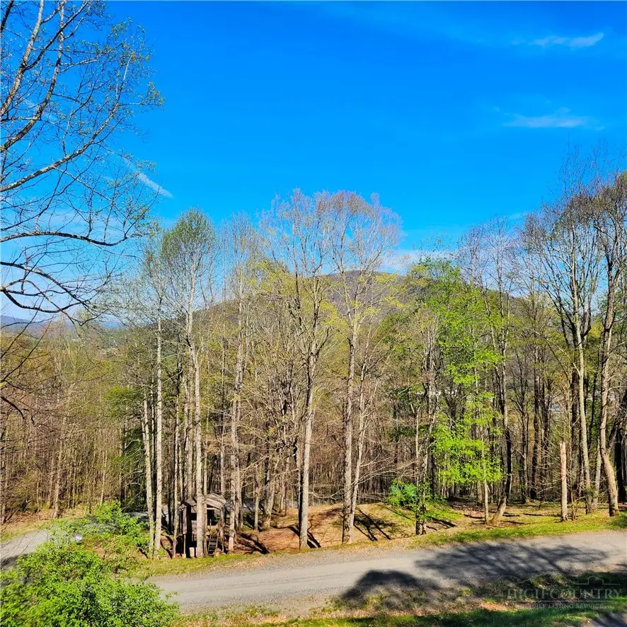 728 Townview Street, West Jefferson, NC 28694 - #2