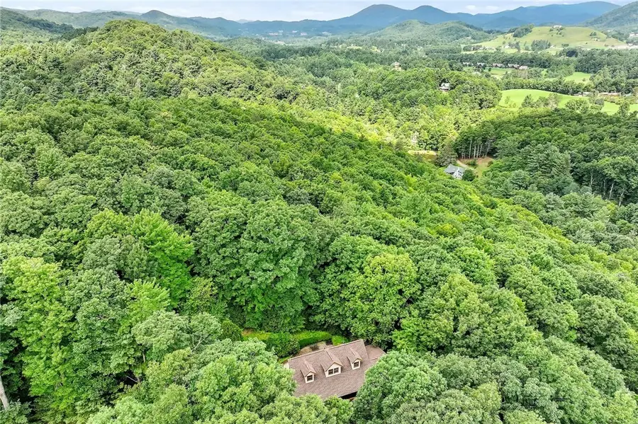 376 Deerfield Forest Parkway, Boone, NC 28607 - #2