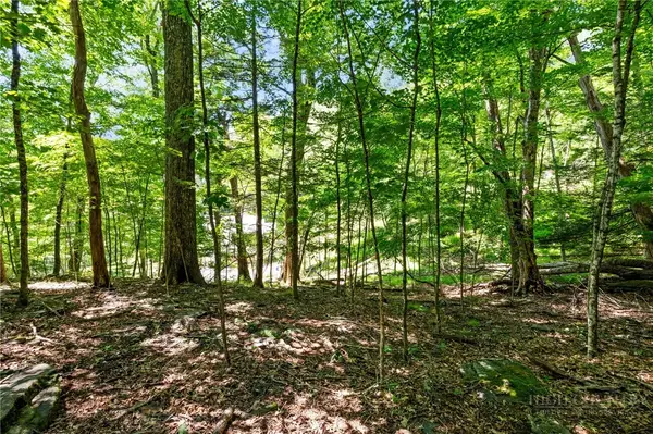 Lot 50 Fire Pink Road, Boone, NC 28607