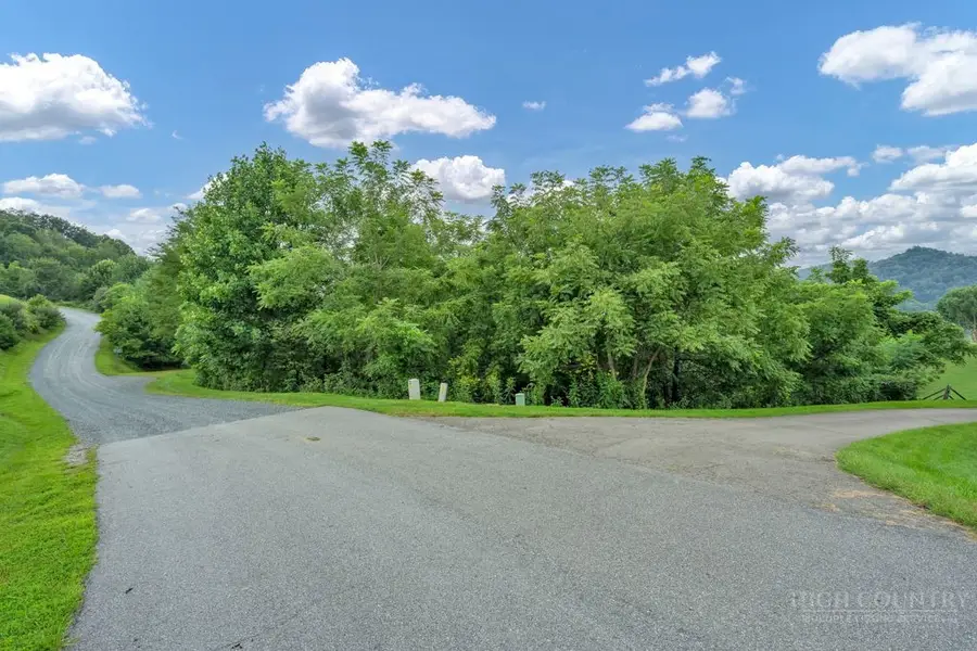 Lot 16 Rose Cliff Lane, Sugar Grove, NC 28679 - #2