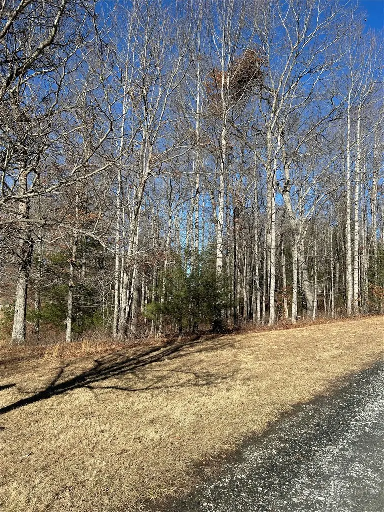 Lot 23 Bear Den Road, Sparta, NC 28675 - #1