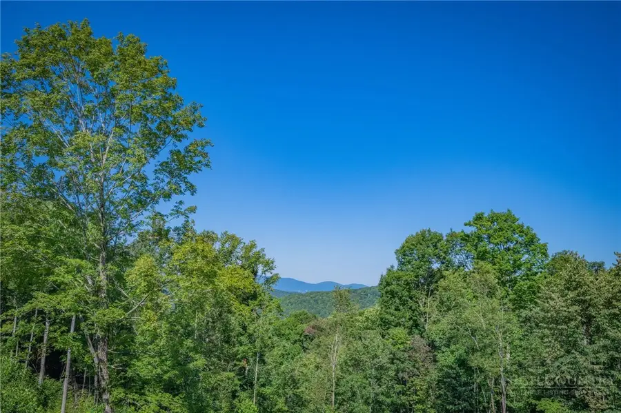 WR-3 Sierra Trail, Elk Park, NC 28622 - #3