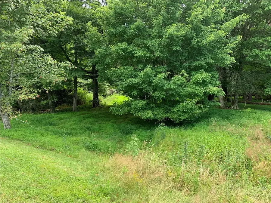 Lot 32 Waterstone Drive, Boone, NC 28607 - #2