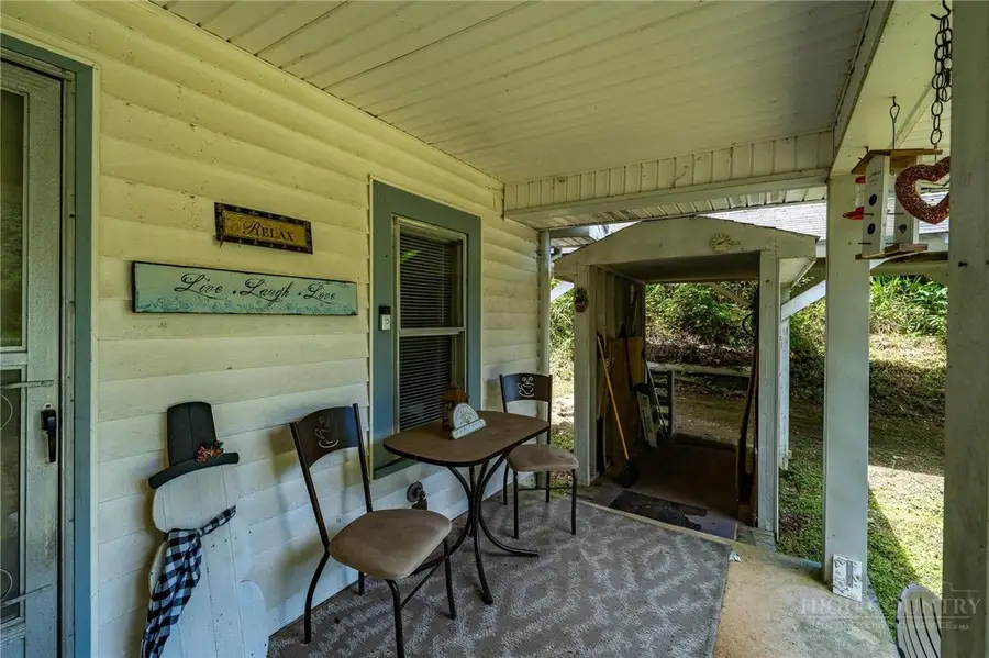4815 Flat Springs Road, Elk Park, NC 28622 - #3