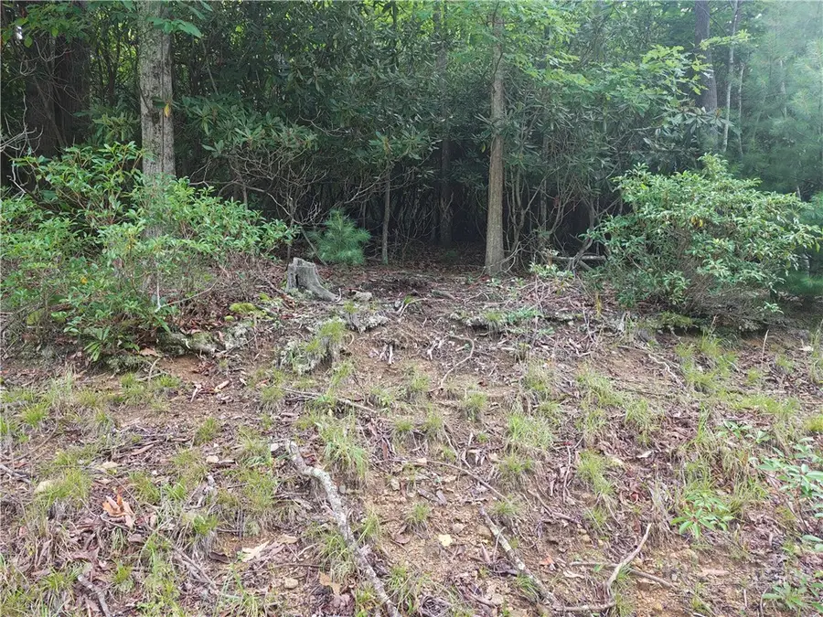 274 Poplar Drive, Beech Mountain, NC 28604 - #2