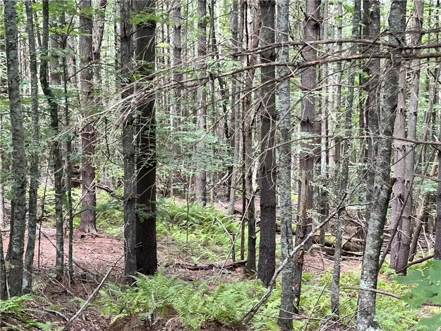 TBD/Lot 48 Woodland Valley Road, Jefferson, NC 28640 - #2