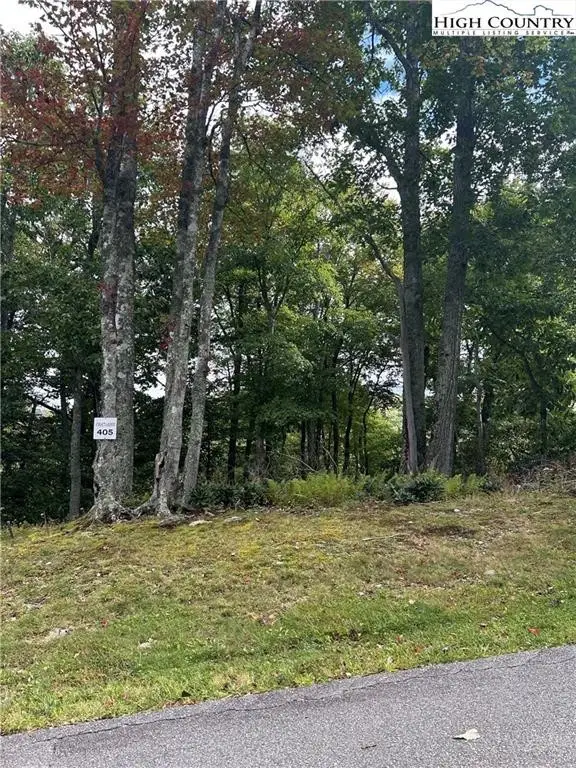 405 Firethorn Trail, Blowing Rock, NC 28605 - #1