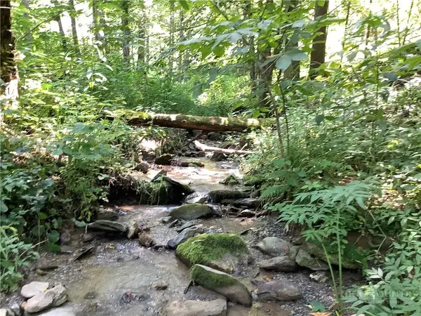 lot 4 Larkspur Trail, Banner Elk, NC 28604