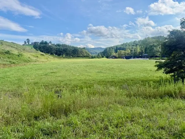 103 S Jefferson #A, West Jefferson, NC 28694 - #3