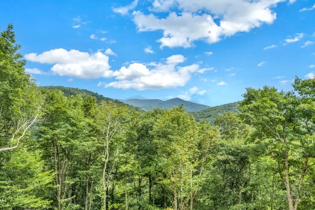TBD Saddle Road, Boone, NC 28607 - #1