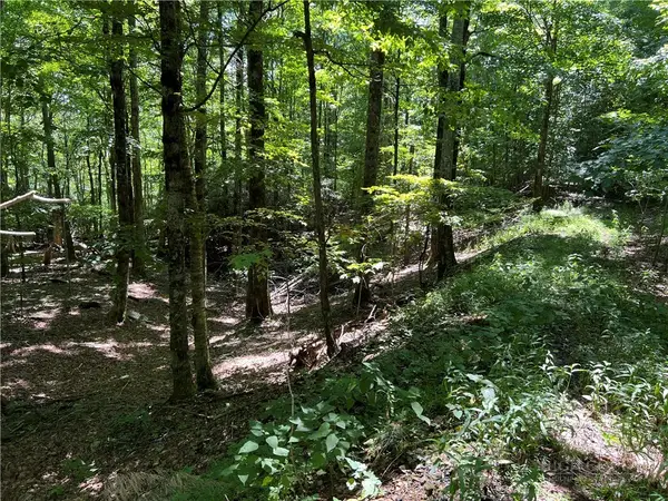 TBD Maple Branch Road, West Jefferson, NC 28694