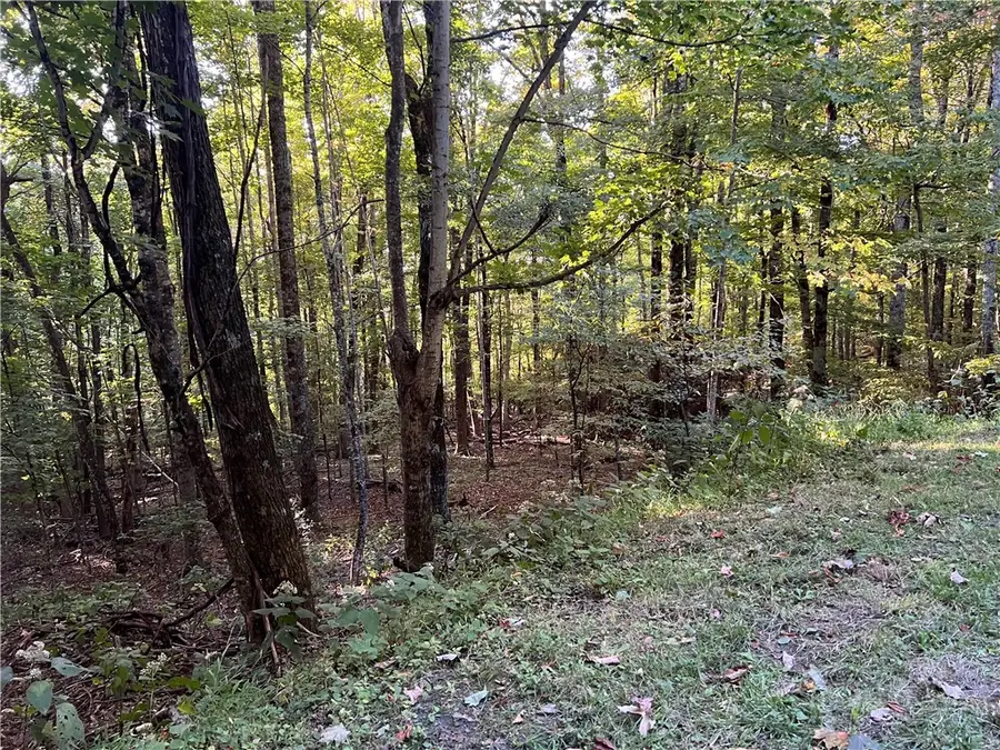 TBD Maple Branch Road, West Jefferson, NC 28694 - #3