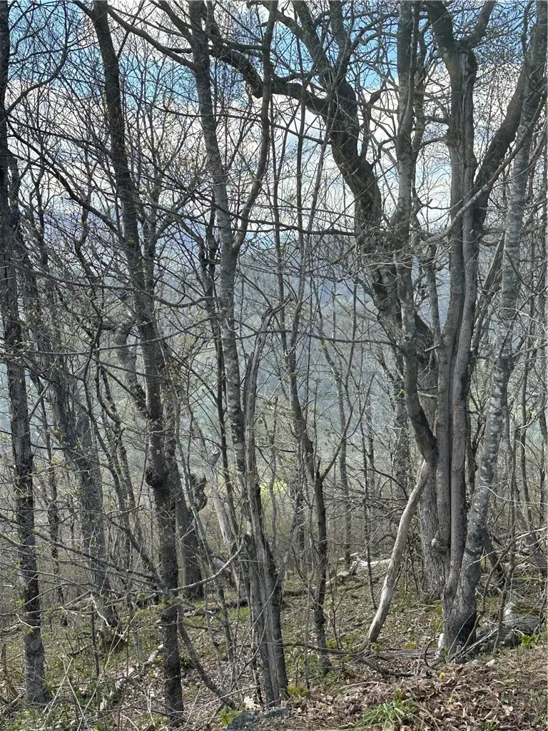 Lot 40 Silver Fox Drive, Blowing Rock, NC 28605 - #2