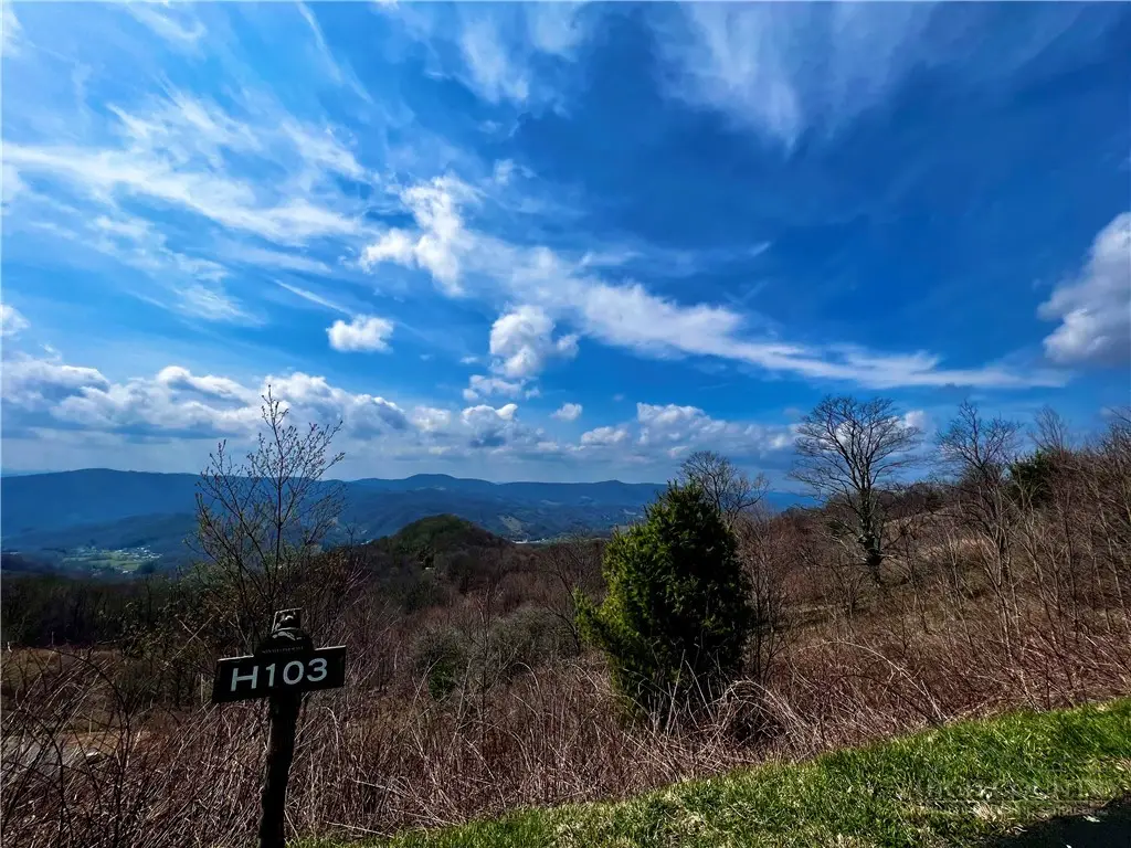 H103 Acorn Nvno, Zionville, NC 28698 - #1