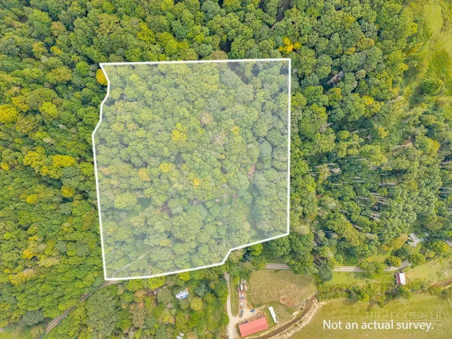 1768 Beaver Dam Road, Vilas, NC 28692 - #2