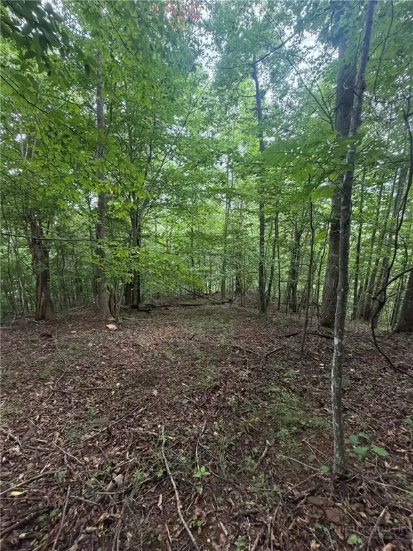 TBD Edwin Blevins Road, Jefferson, NC 28640