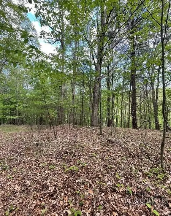 TBD Edwin Blevins Road, Jefferson, NC 28640 - #2
