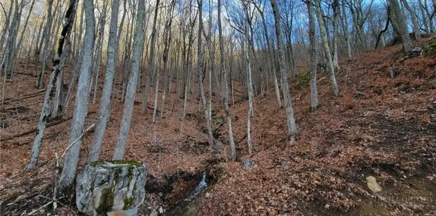 G56 Sky Camp Road, Banner Elk, NC 28604 - #3