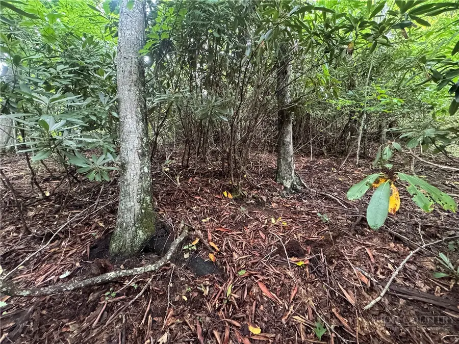 Lot 42 Sunset Drive, Elk Park, NC 28622 - #2