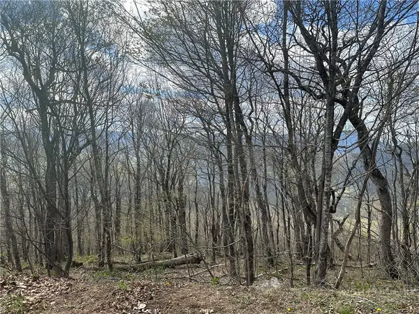 Lot 41 Silver Fox Drive, Blowing Rock, NC 28605