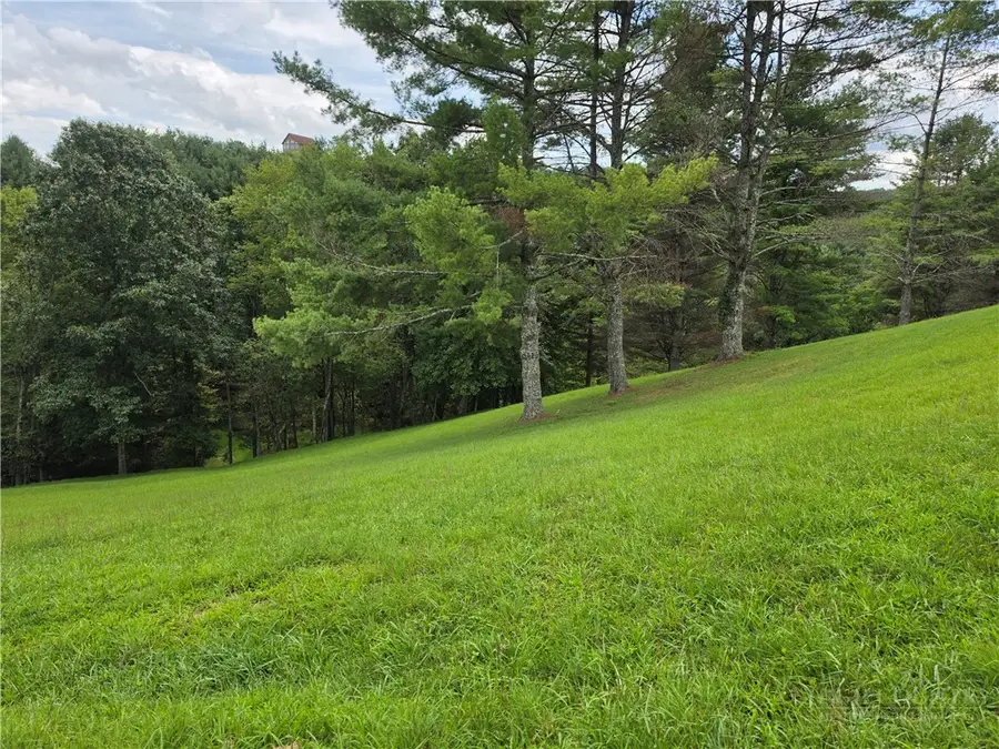 Lot 6 Annais Drive, Crumpler, NC 28617 - #3
