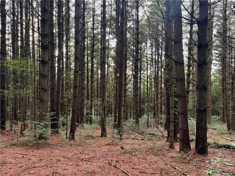 Lots 12-14 Friendly Lane, Ennice, NC 28623 - #3