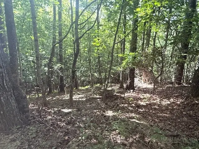 TBD Austin Taylor Road, Fleetwood, NC 28626 - #1