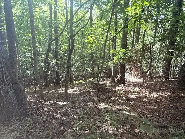 TBD Austin Taylor Road, Fleetwood, NC 28626