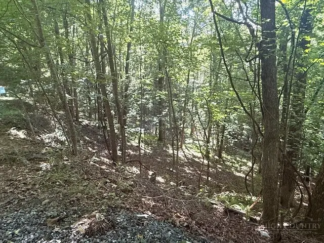 TBD Austin Taylor Road, Fleetwood, NC 28626 - #2