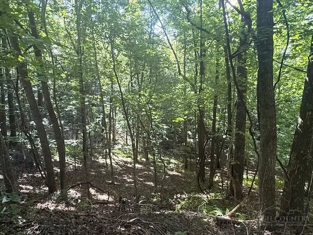 TBD Austin Taylor Road, Fleetwood, NC 28626 - #3
