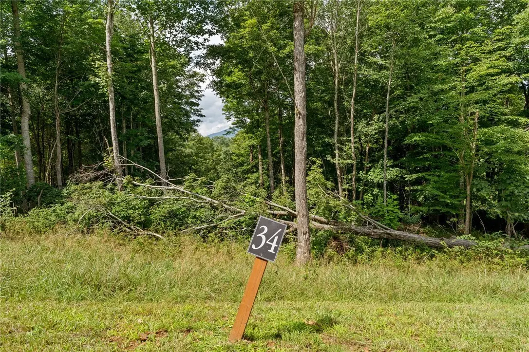 Lot 34 Poplar Forest Drive, Boone, NC 28607 - #1