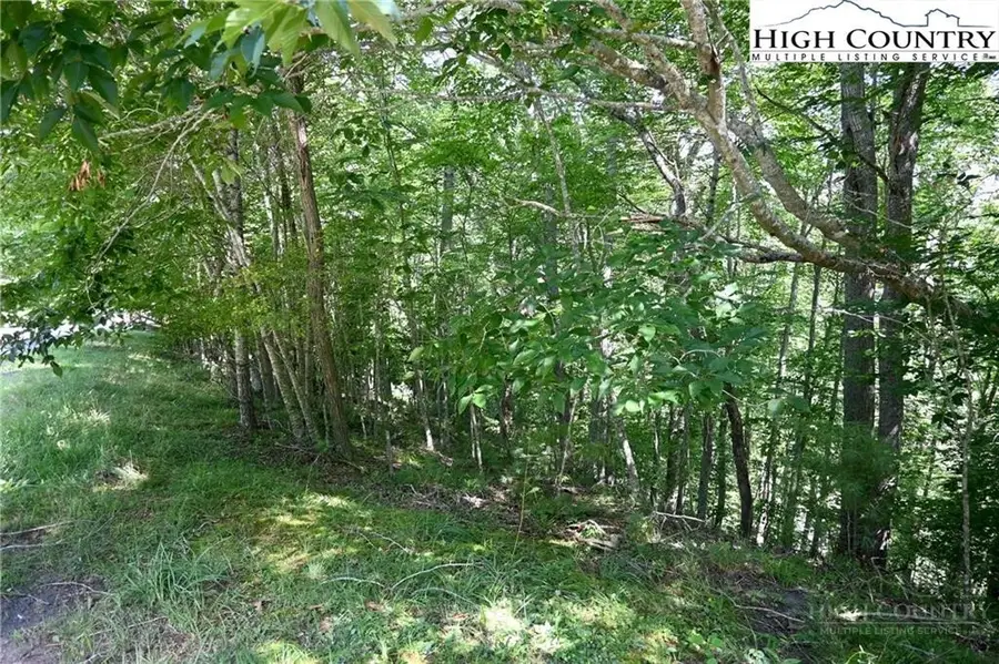TBD Turkey Ridge South, Lansing, NC 28643 - #2