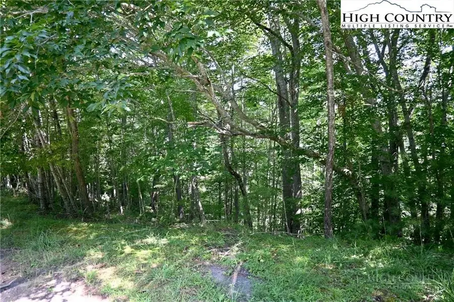 TBD Turkey Ridge South, Lansing, NC 28643 - #3