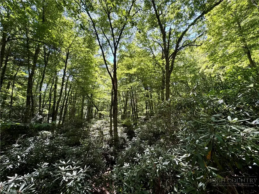 TBD Boulder Creek Drive, Boone, NC 28607 - #2